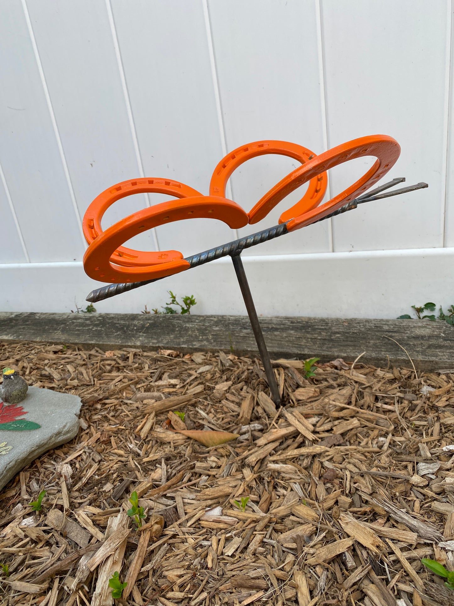 Horseshoe Butterfly