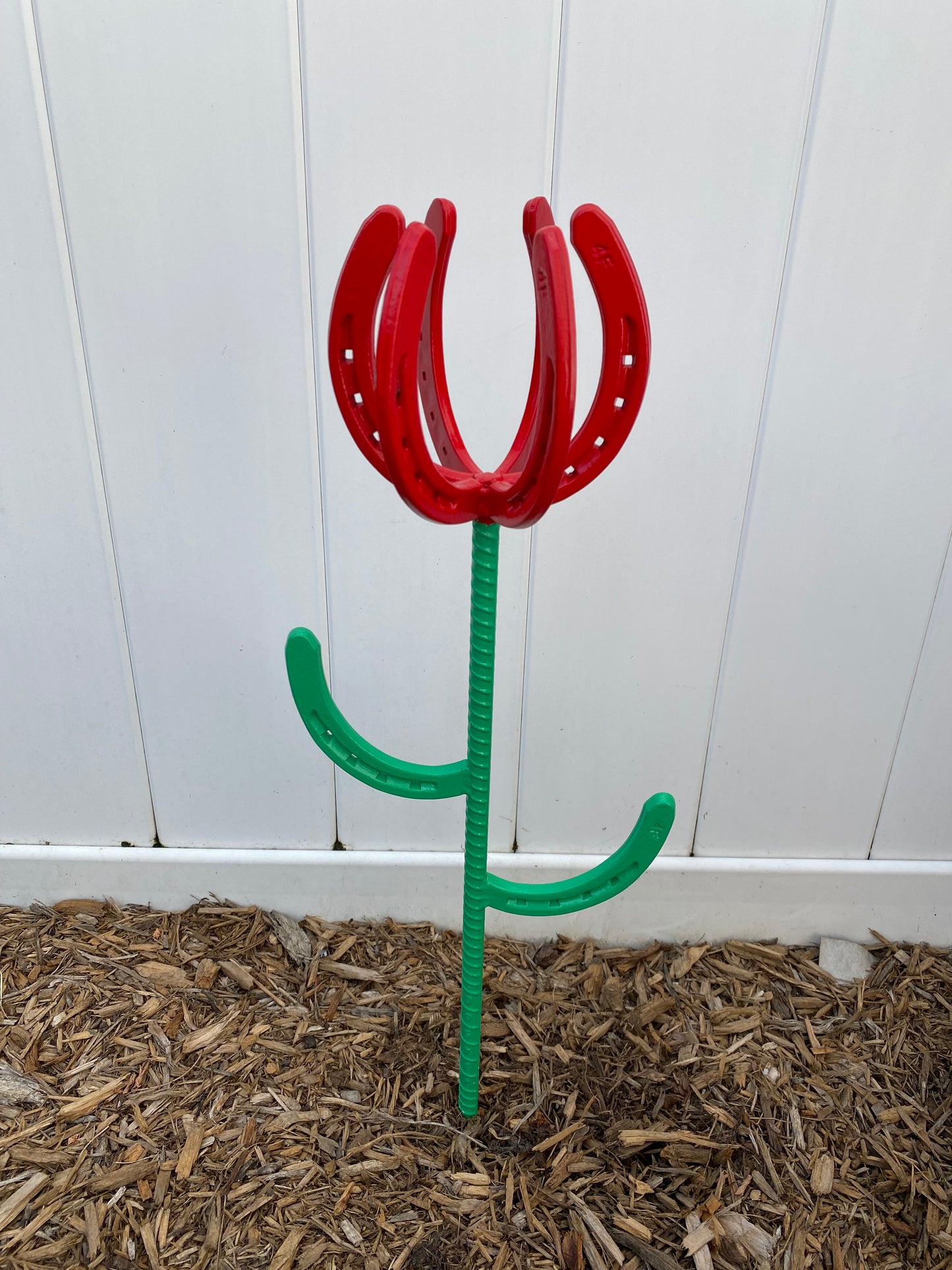 Horseshoe Tulip